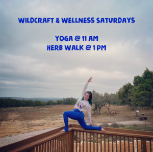 Wildcraft & Wellness Yoga