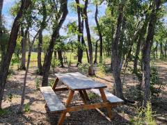 Table in Garden